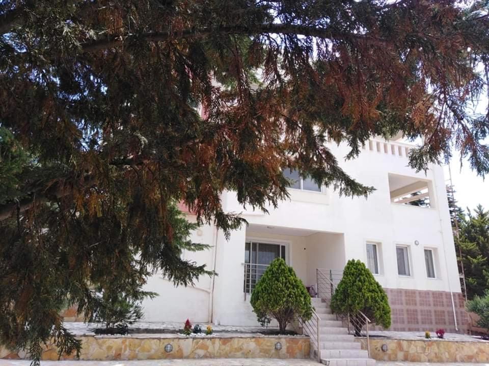 Treasures B&B Paloukia المظهر الخارجي الصورة
