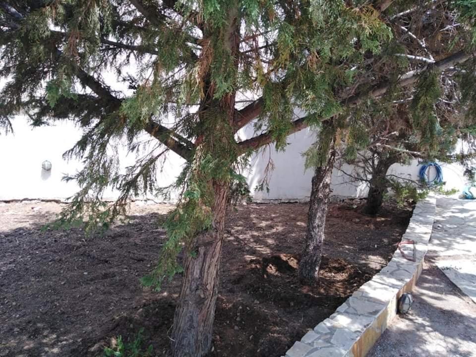 Treasures B&B Paloukia المظهر الخارجي الصورة