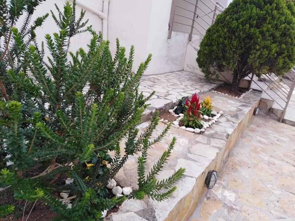 Treasures B&B Paloukia المظهر الخارجي الصورة