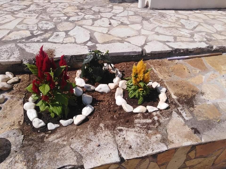 Treasures B&B Paloukia المظهر الخارجي الصورة